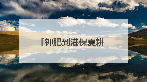 钾肥到港保夏耕 边检高效助通关