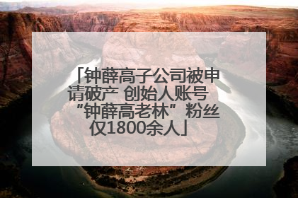 钟薛高子公司被申请破产 创始人账号“钟薛高老林”粉丝仅1800余人