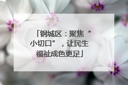 钢城区：聚焦“小切口”，让民生福祉成色更足