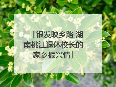 银发映乡路 湖南桃江退休校长的家乡振兴情