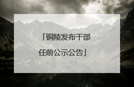 铜陵发布干部任前公示公告