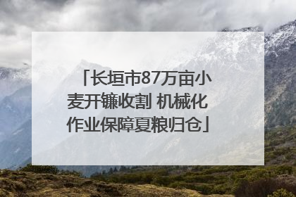 长垣市87万亩小麦开镰收割 机械化作业保障夏粮归仓