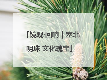 镜观·回响｜塞北明珠 文化瑰宝