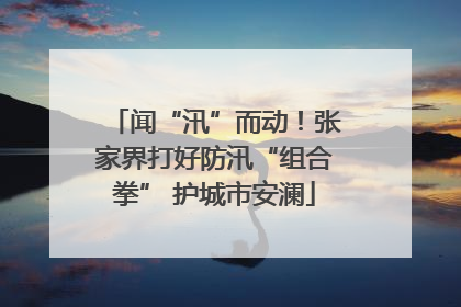 闻“汛”而动！张家界打好防汛“组合拳” 护城市安澜