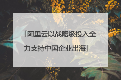 阿里云以战略级投入全力支持中国企业出海