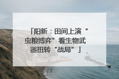 阳新：田间上演“虫粮博弈”看生物武器扭转“战局”