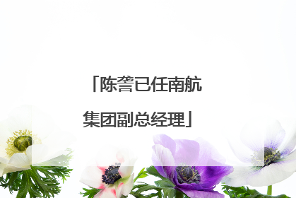陈詟已任南航集团副总经理
