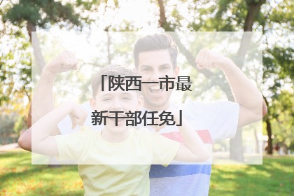 陕西一市最新干部任免