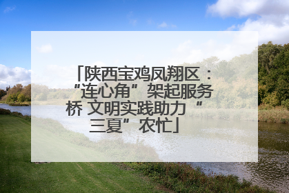 陕西宝鸡凤翔区：“连心角”架起服务桥 文明实践助力“三夏”农忙