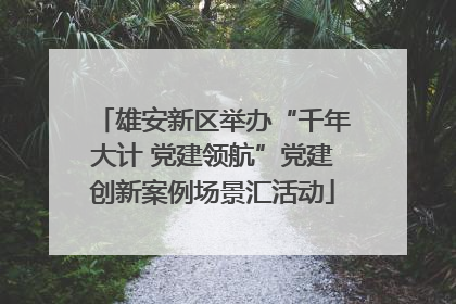 雄安新区举办“千年大计 党建领航”党建创新案例场景汇活动