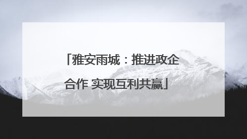 雅安雨城：推进政企合作 实现互利共赢