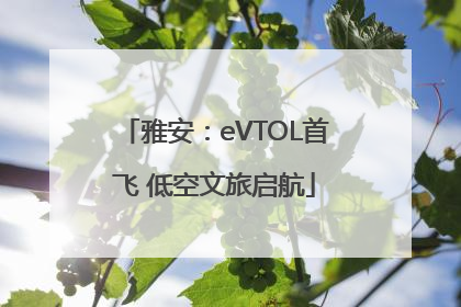 雅安：eVTOL首飞 低空文旅启航