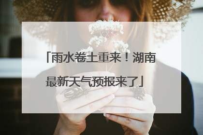 雨水卷土重来！湖南最新天气预报来了
