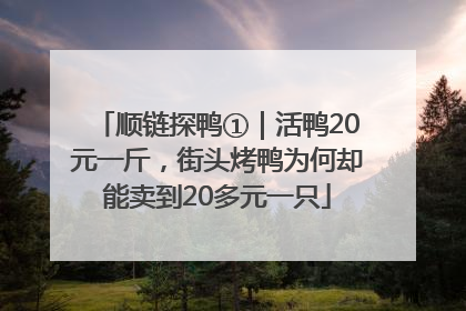顺链探鸭①｜活鸭20元一斤，街头烤鸭为何却能卖到20多元一只