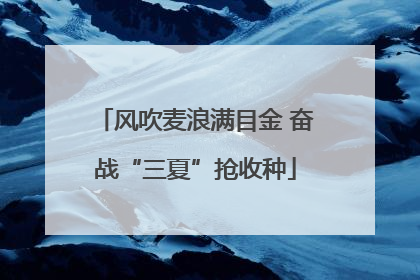 风吹麦浪满目金 奋战“三夏”抢收种