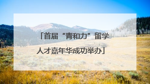 首届“青和力”留学人才嘉年华成功举办