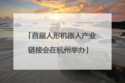 首届人形机器人产业链接会在杭州举办