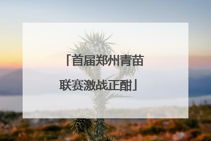 首届郑州青苗联赛激战正酣