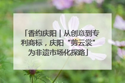 香约庆阳｜从创意到专利商标，庆阳“剪云裳”为非遗市场化探路