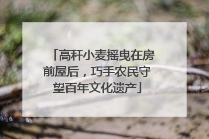 高秆小麦摇曳在房前屋后，巧手农民守望百年文化遗产