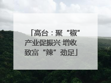 高台：聚“椒”产业促振兴 增收致富“辣”劲足