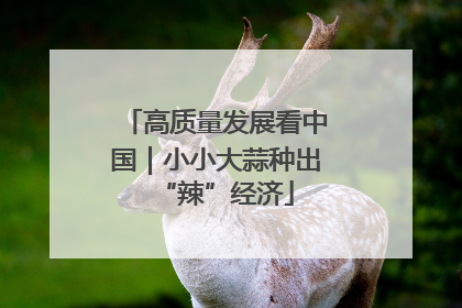 高质量发展看中国｜小小大蒜种出“辣”经济