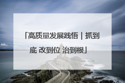 高质量发展践悟｜抓到底 改到位 治到根