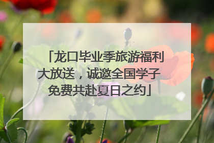 龙口毕业季旅游福利大放送，诚邀全国学子免费共赴夏日之约