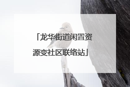 龙华街道闲置资源变社区联络站