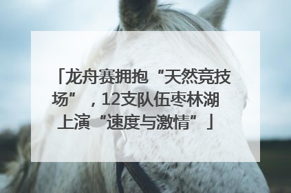 龙舟赛拥抱“天然竞技场”，12支队伍枣林湖上演“速度与激情”