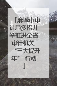 麻城市审计局多措并举推进全省审计机关 “三大提升年” 行动