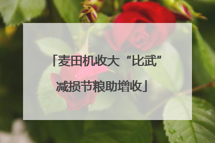 麦田机收大“比武” 减损节粮助增收