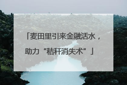 麦田里引来金融活水，助力“秸秆消失术”