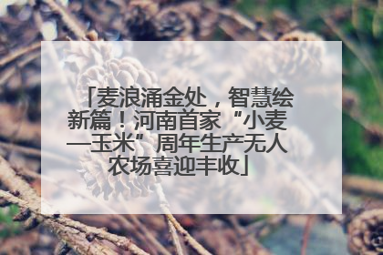 麦浪涌金处，智慧绘新篇！河南首家“小麦—玉米”周年生产无人农场喜迎丰收