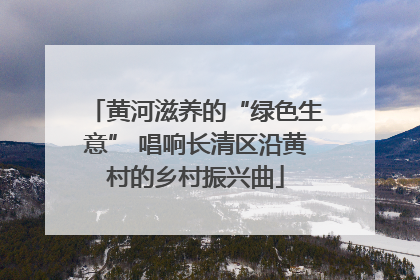 黄河滋养的“绿色生意” 唱响长清区沿黄村的乡村振兴曲