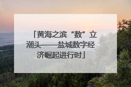黄海之滨“数”立潮头——盐城数字经济崛起进行时