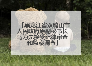 黑龙江省双鸭山市人民政府原副秘书长马为先接受纪律审查和监察调查