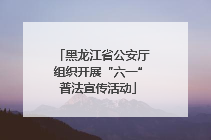 黑龙江省公安厅组织开展“六一”普法宣传活动