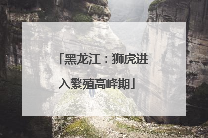 黑龙江：狮虎进入繁殖高峰期