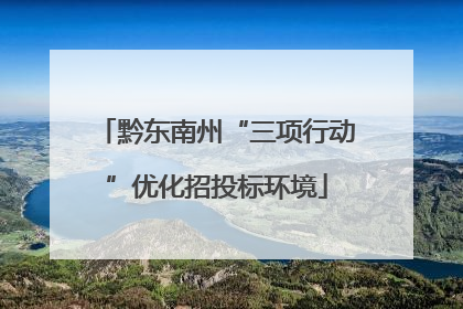 黔东南州“三项行动”优化招投标环境