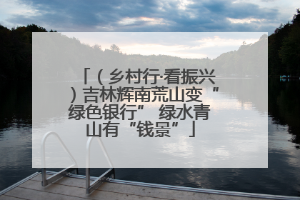 （乡村行·看振兴）吉林辉南荒山变“绿色银行” 绿水青山有“钱景”