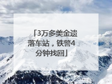 3万多美金遗落车站，铁警4分钟找回