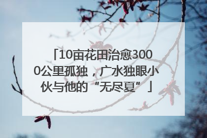 10亩花田治愈3000公里孤独，广水独眼小伙与他的“无尽夏”