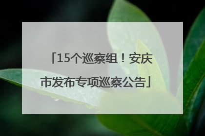 15个巡察组！安庆市发布专项巡察公告