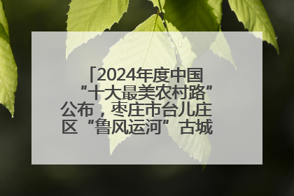 2024年度中国“十大最美农村路”公布，枣庄市台儿庄区“鲁风运河”古城文化廊道上榜！