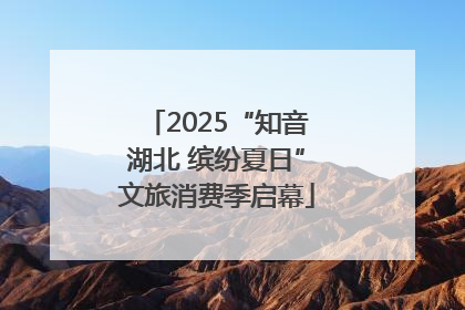2025“知音湖北 缤纷夏日”文旅消费季启幕