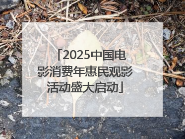 2025中国电影消费年惠民观影活动盛大启动