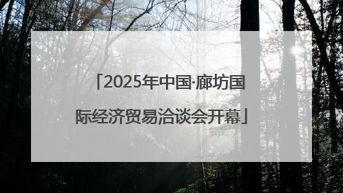 2025年中国·廊坊国际经济贸易洽谈会开幕