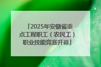 2025年安徽省重点工程职工（农民工）职业技能竞赛开幕