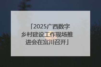 2025广西数字乡村建设工作现场推进会在富川召开